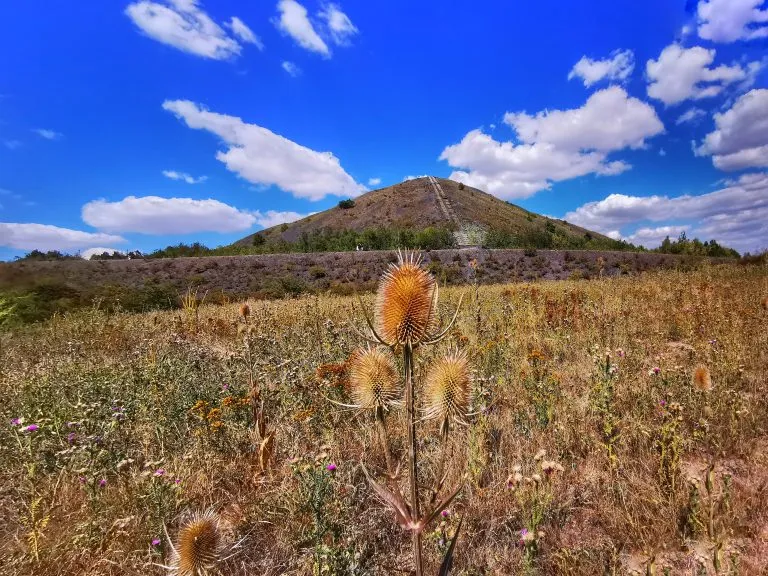 Vu d'un terril
