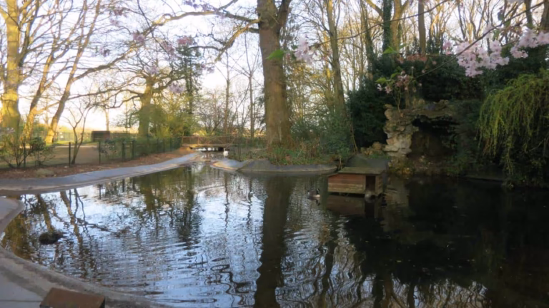 Un petit étang à Arras reflète des arbres sans feuilles et un ciel partiellement nuageux ; un canardier en bois est posé sur l'eau près du bord droit, à côté d'un feuillage vert en surplomb. Parfait pour une balade ou pour sortir les enfants, avec un chemin de terre et un pont en bois sous la lumière du début du printemps.