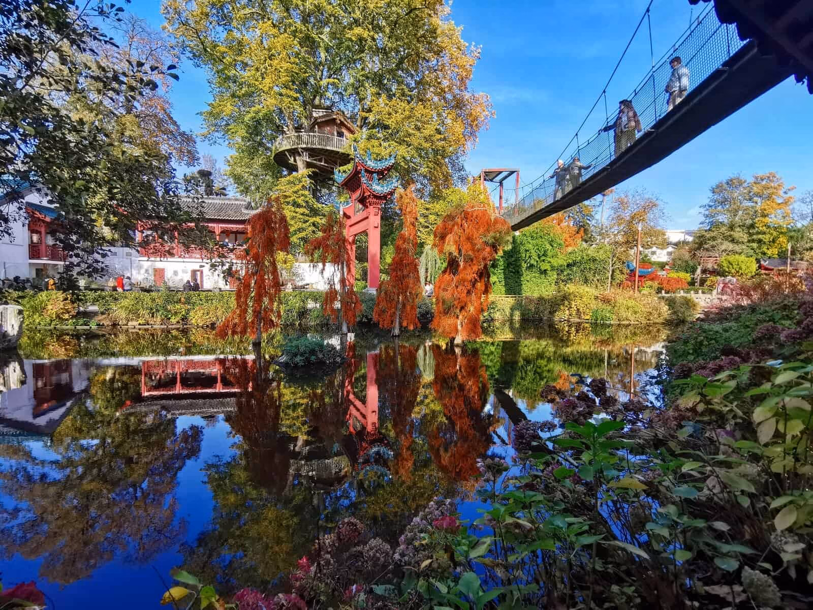 Une vue de Pairi Daiza