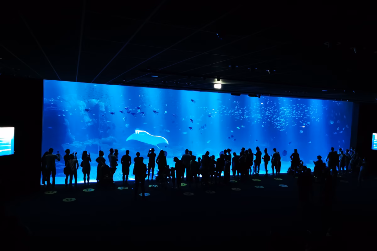 Photo du plus grand Bassin de Nausicaa à Boulogne sur Mer