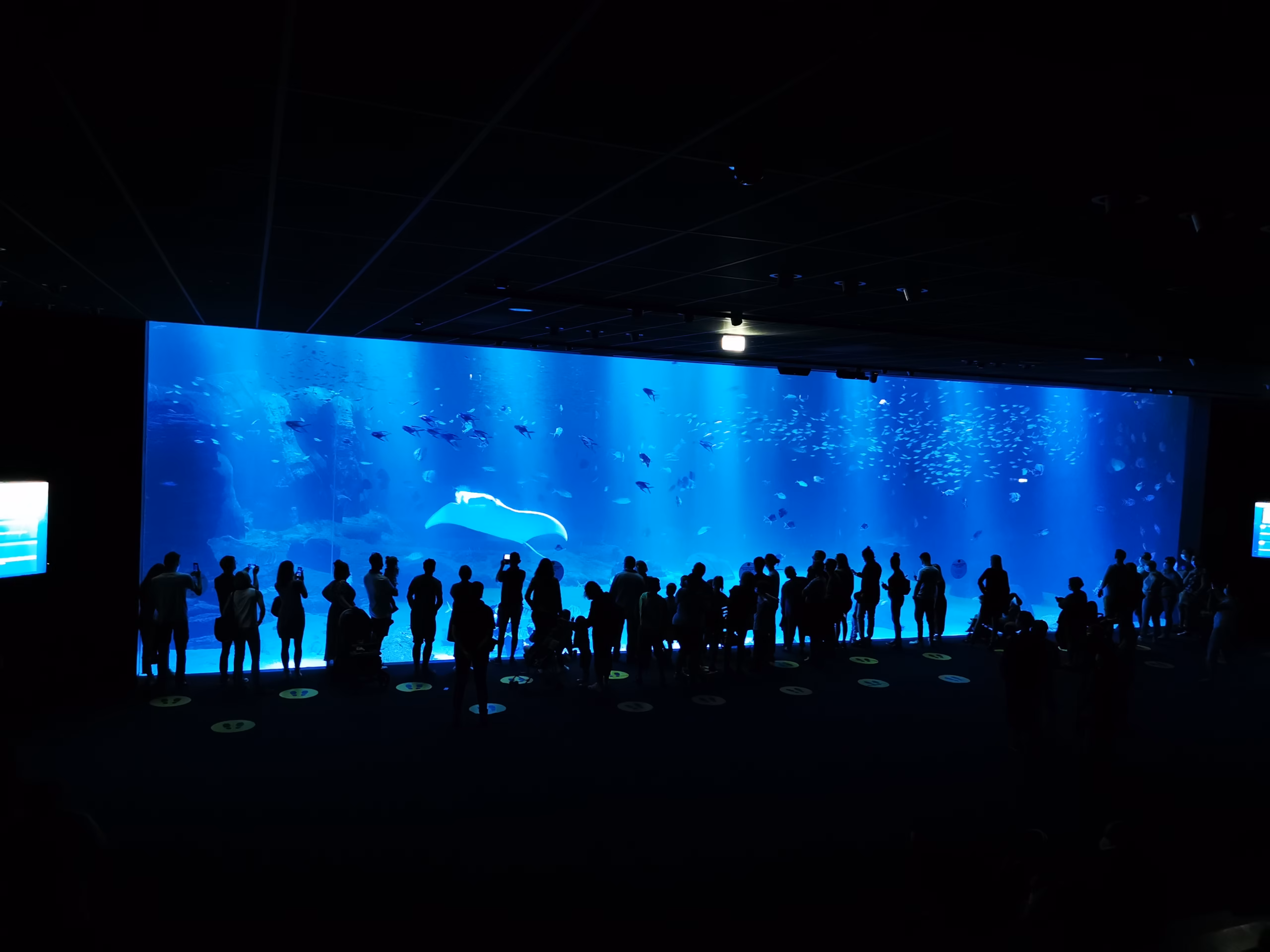 Photo du plus grand Bassin de Nausicaa à Boulogne sur Mer