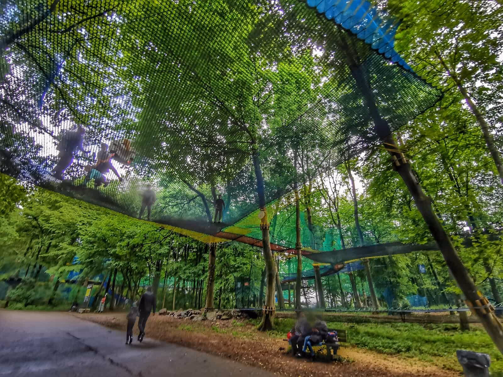 Photos des filets dans les arbres à Olhain