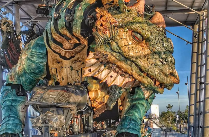 Cité De La Dentelle Et De La Mode À Calais 1 Le dragon dans son abri