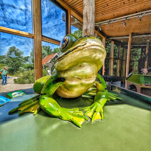 Grenouille au relais nature