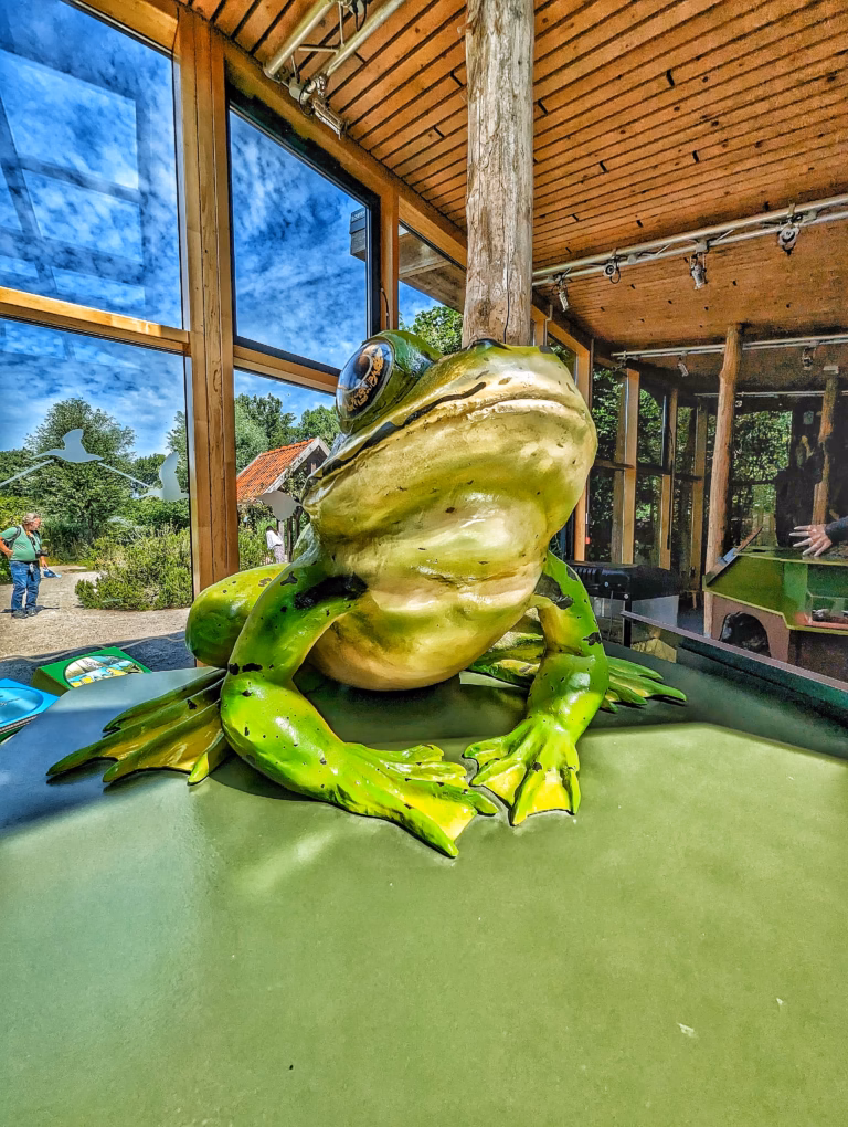 Grenouille au relais nature