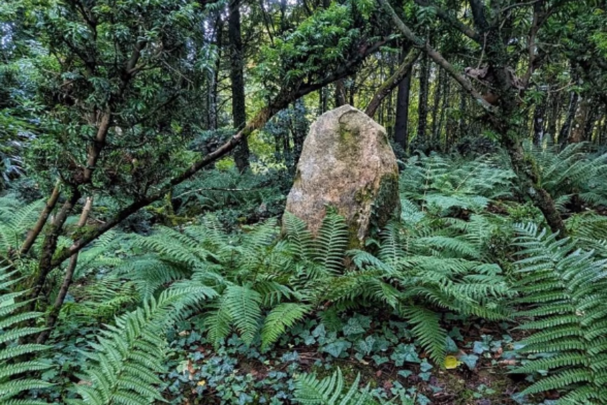 Image d'un rocher à Sericourt