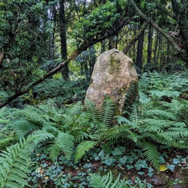 Les Meilleures Idées De Sorties Dans Le Nord De La France 19 Image d'un rocher à Sericourt