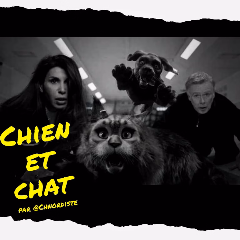 Lire la suite à propos de l’article Mon avis sur « Chien et Chat » 🐶😺: une comédie « cartoonesque »