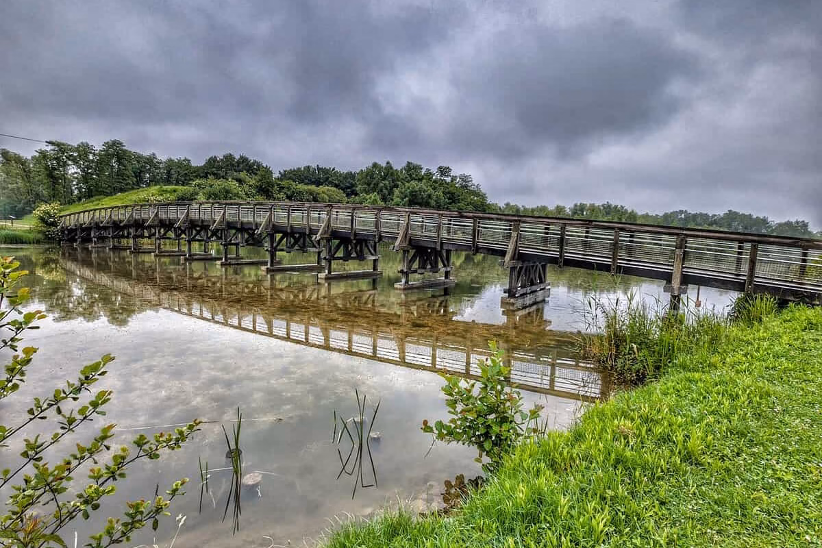 Pont à l'intérieur du parc