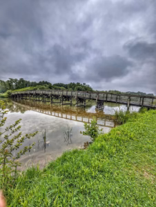 Pont à l'intérieur du parc