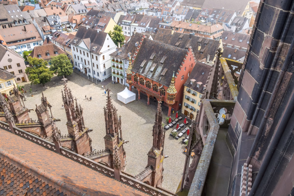 Découvrir la région Fribourg-en-Brisgau avec un Enfant : Guide Complet