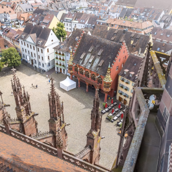 Découvrir la région Fribourg-en-Brisgau avec un Enfant : Guide Complet