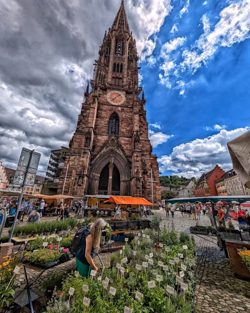 Cathédral Fribourg, marché, fleurs, ciel nuageux