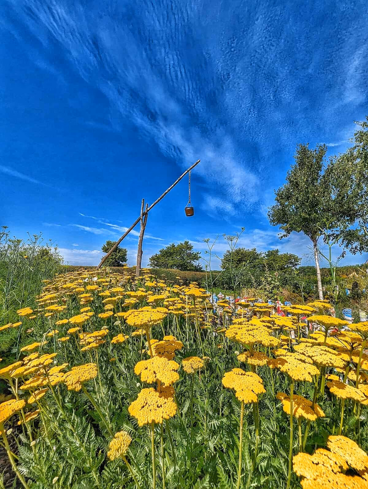 Parc Mosaïc, le jardin des cultures : une invitation au voyage près de Lille 46