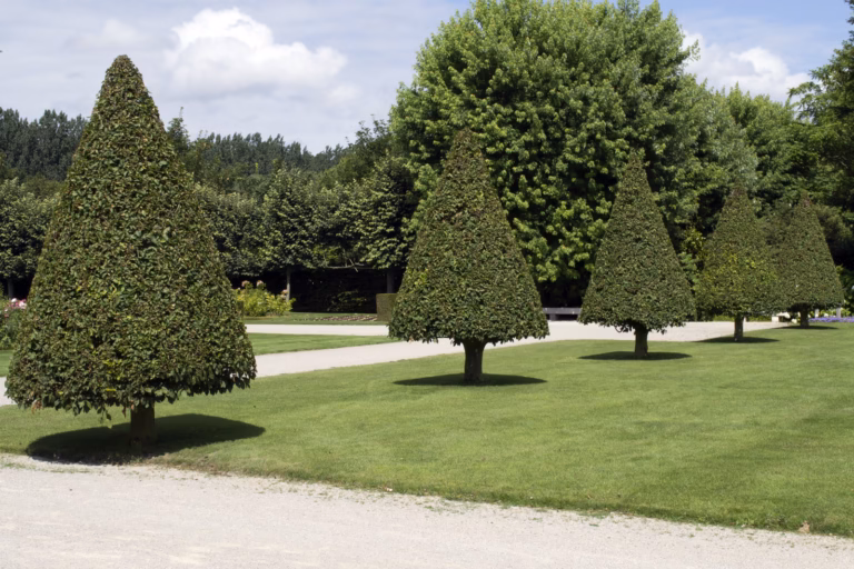valloires