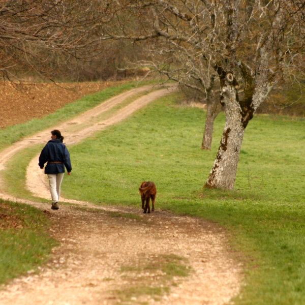 Les Meilleures Idées De Sorties Dans Le Nord De La France 43 Forêt hauts de france