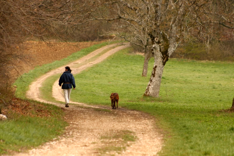 Forêt hauts de france