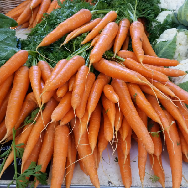 Les Meilleures Idées De Sorties Dans Le Nord De La France 38 Marché