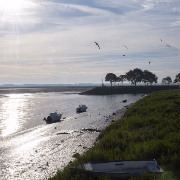 Les Meilleures Idées De Sorties Dans Le Nord De La France 48 La baie de Somme