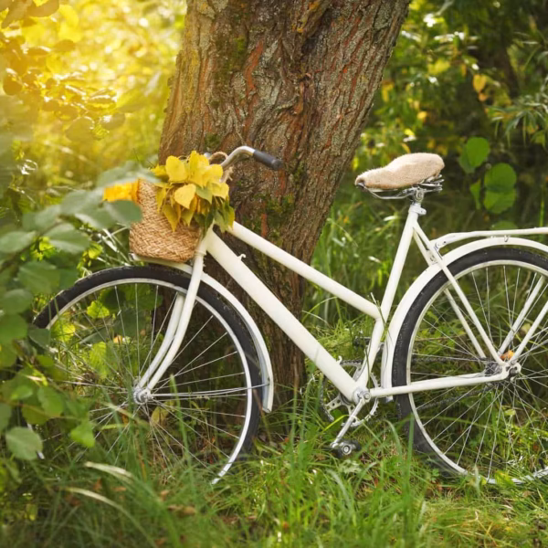 Les Meilleures Idées De Sorties Dans Le Nord De La France 18 À vélo sur la Véloroute de la Mémoire : un circuit familial à Arras