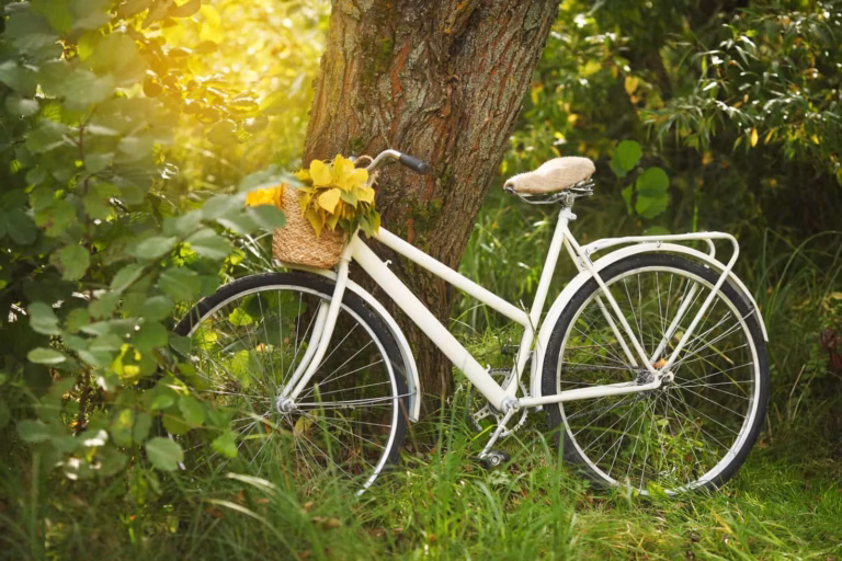 Lire la suite à propos de l’article À vélo sur la Véloroute de la Mémoire : un circuit familial à Arras