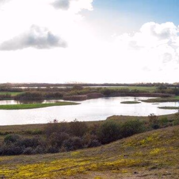 Les Meilleures Idées De Sorties Dans Le Nord De La France 29 Parc du Marquenterre