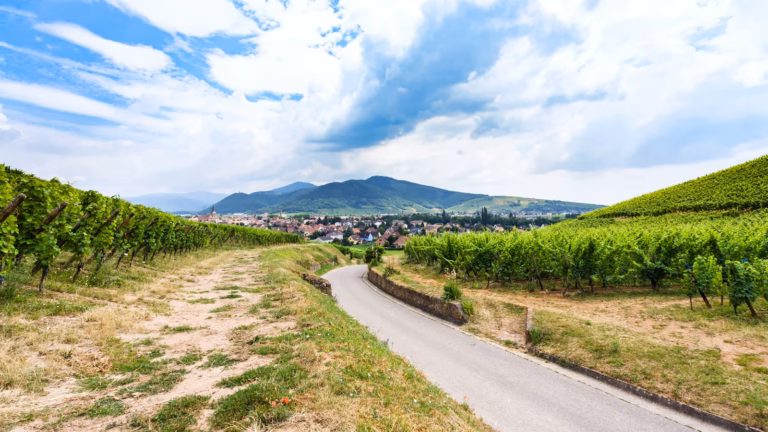 la route desvins