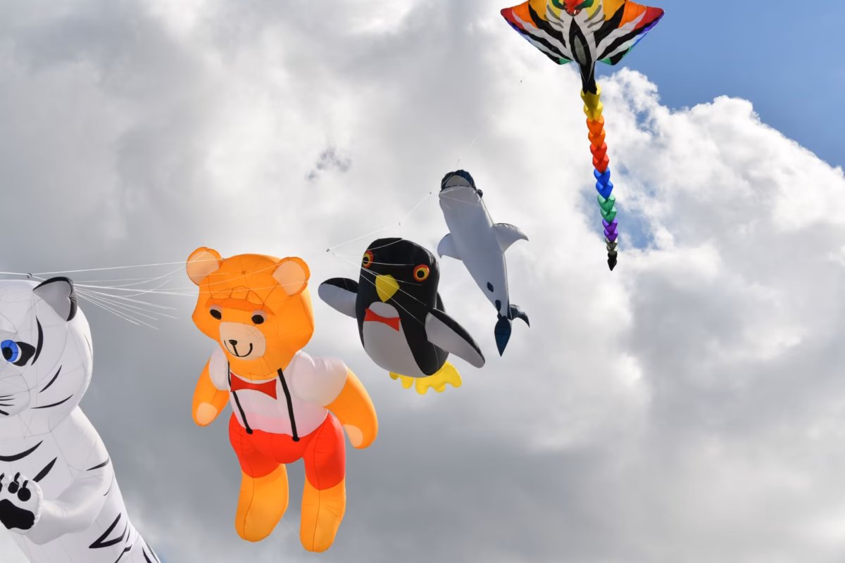 Cerf-volant à Berck-sut-mer