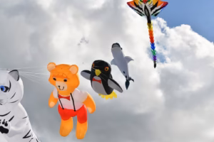 Cerfs-Volants de Berck 2026 : Le Guide Pratique Ultime (Programme, Accès & Astuces)