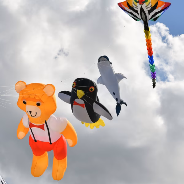 Cerf-volant à Berck-sut-mer