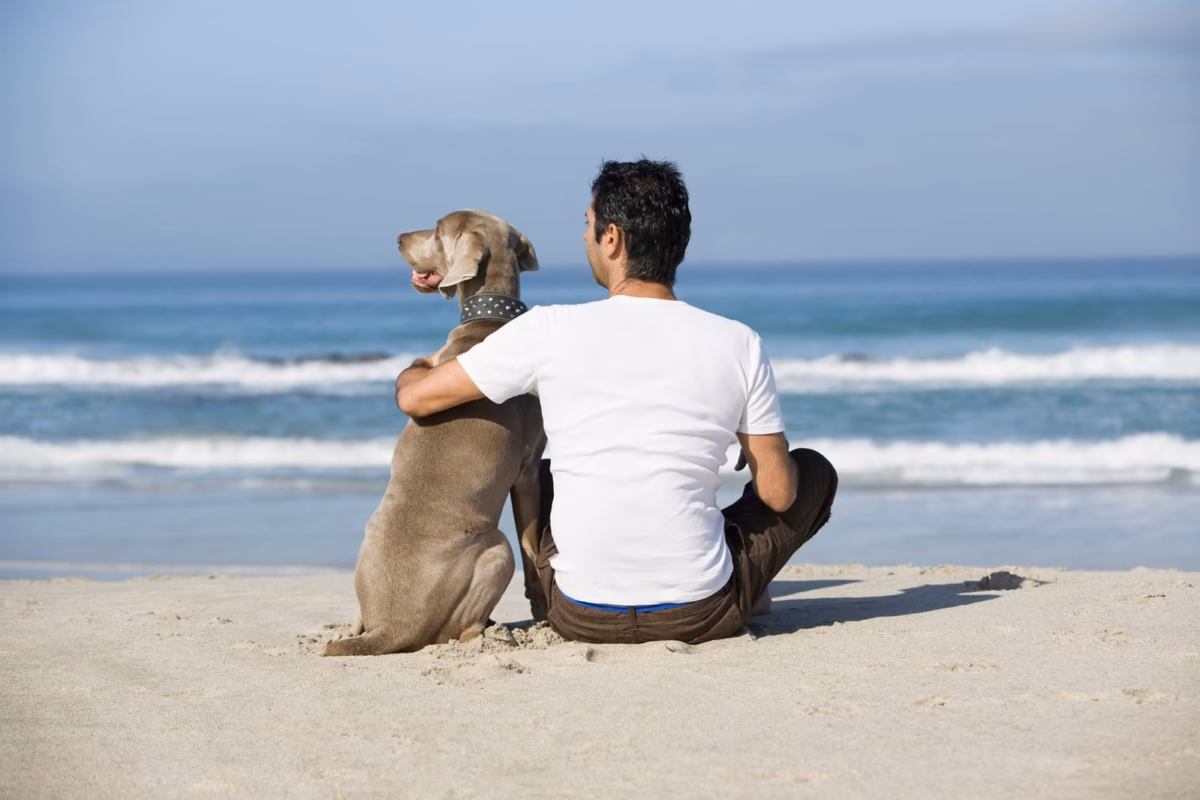 Homme et chien sur la plage.
