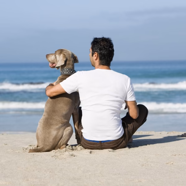 Homme et chien sur la plage.