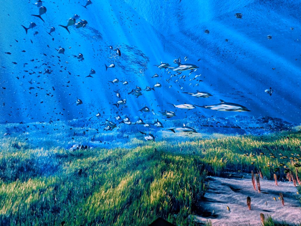 Avis Europa Park 2026 : Quartier Monaco, Silver Lake, Rulantica... 4 Poissons nageant dans un océan bleu.